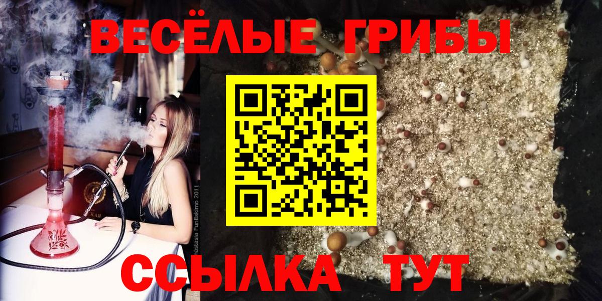 Псилоцибиновые грибы GOLDEN TEACHER Зеленокумск