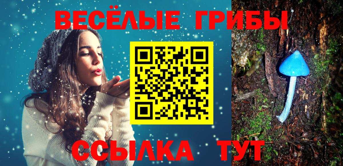 Псилоцибиновые грибы GOLDEN TEACHER  Вход с VPN  продажа наркотиков  Зеленокумск 